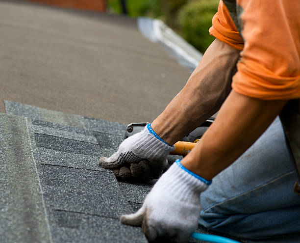 Best Roof Leak Repair  in Homer City, PA